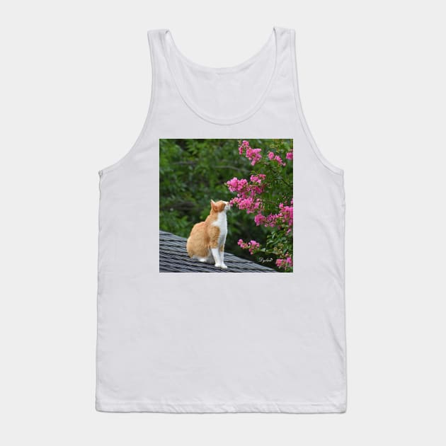 Gracie Tank Top by DylanArtNPhoto